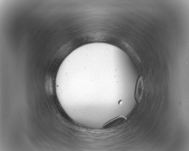 X0000064750026200602241853