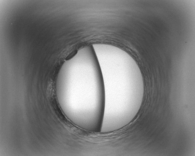 X0000064750029200602241853