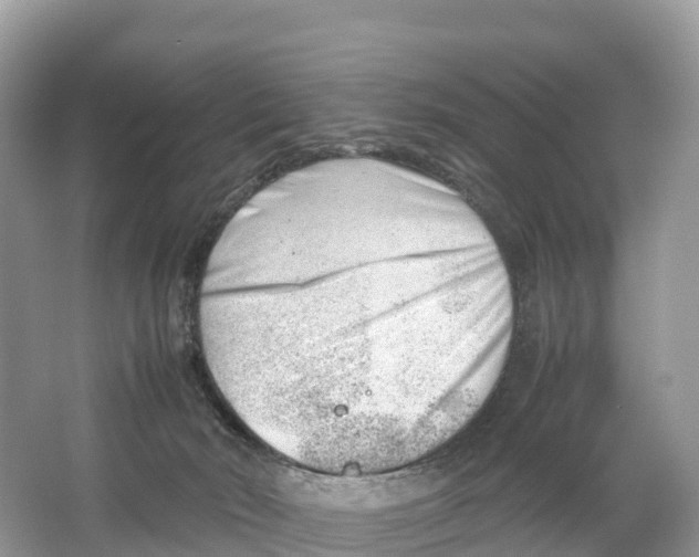 X0000064750030200602241853