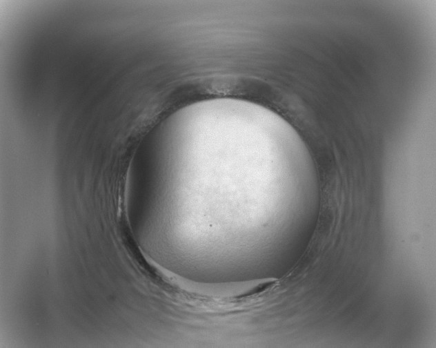 X0000064750031200602241853