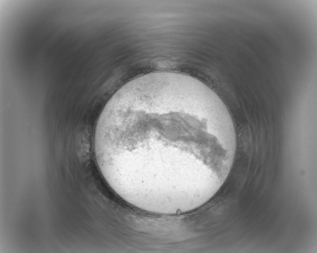 X0000064750032200602241853