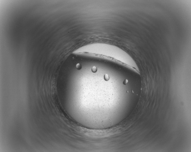 X0000064750034200602241853