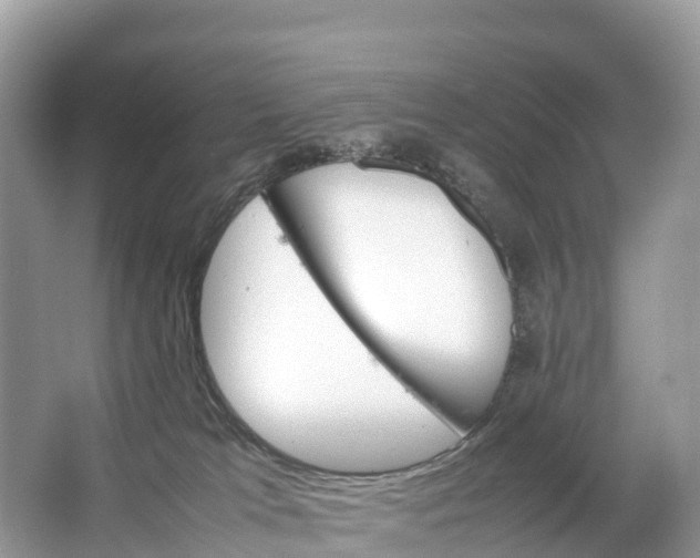 X0000064750037200602241853