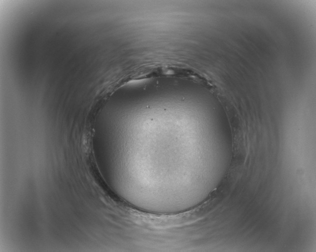 X0000064750039200602241853