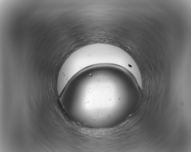 X0000064750040200602241853