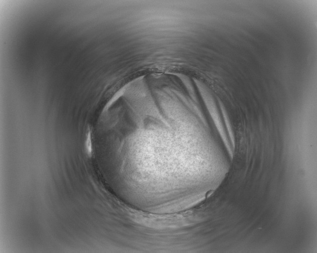 X0000064750042200602241853