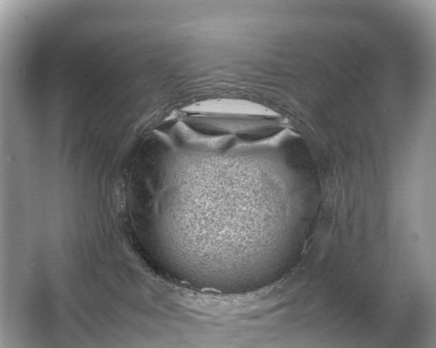 X0000064750043200602241853