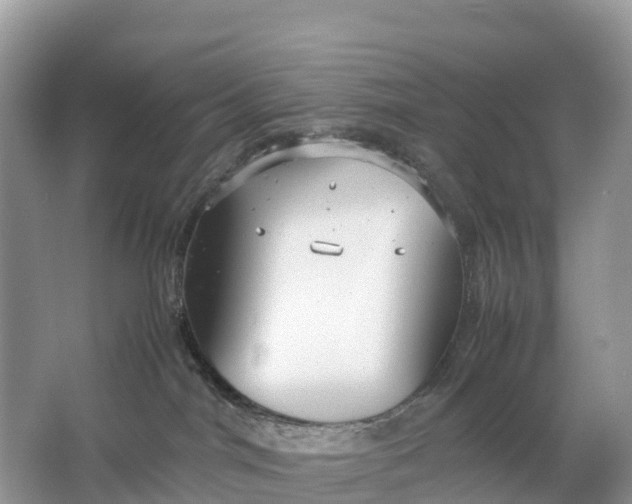 X0000064750044200602241853