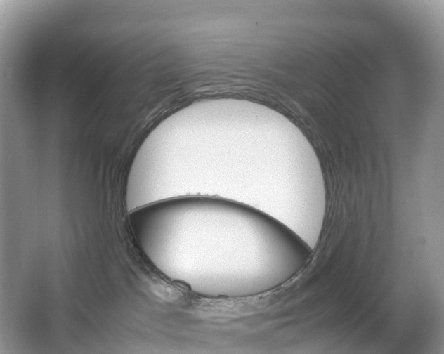 X0000064750045200602241853