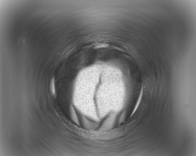 X0000064750046200602241853