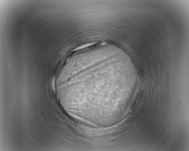 X0000064750047200602241853