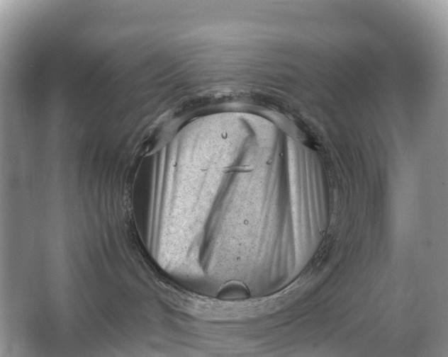 X0000064750048200602241853