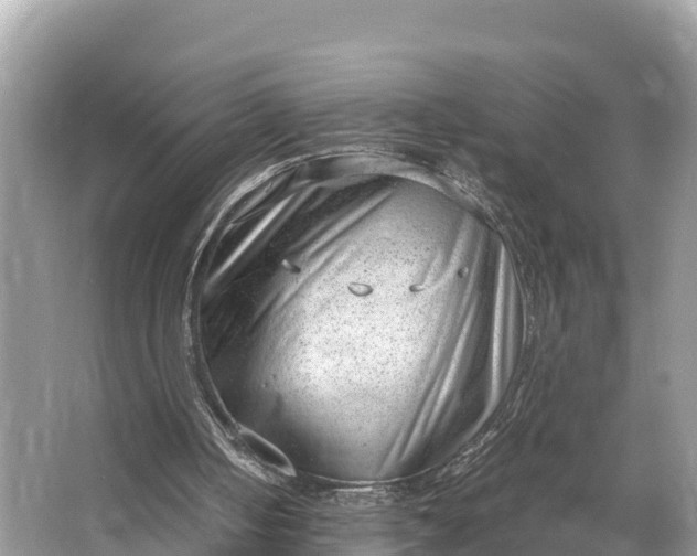 X0000064750050200602241852