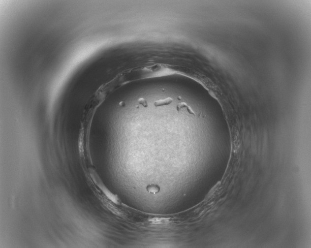 X0000064750052200602241852