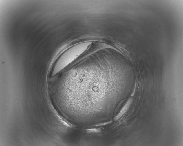 X0000064750053200602241852