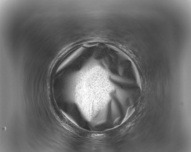 X0000064750055200602241852