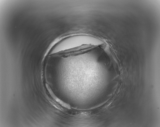 X0000064750056200602241852