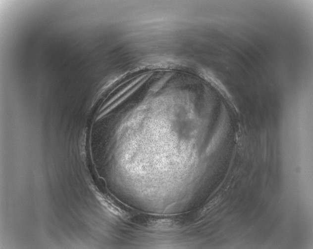 X0000064750058200602241852