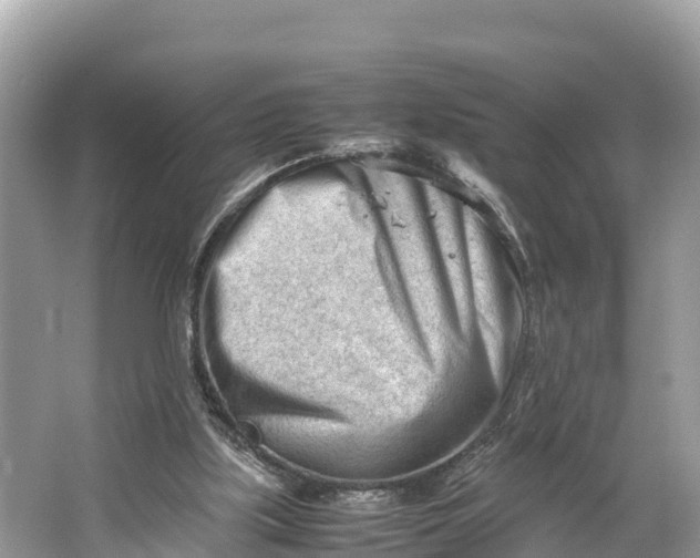 X0000064750059200602241852