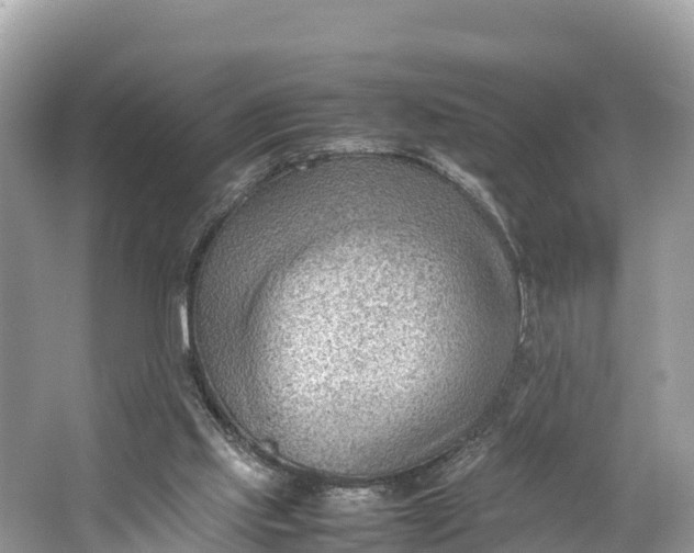 X0000064750061200602241852