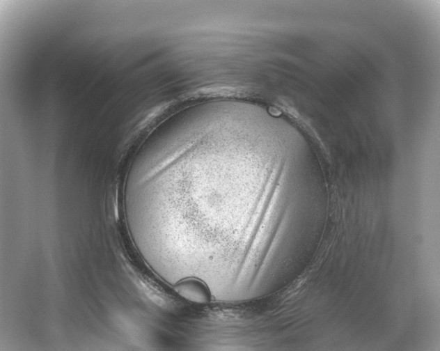 X0000064750062200602241852