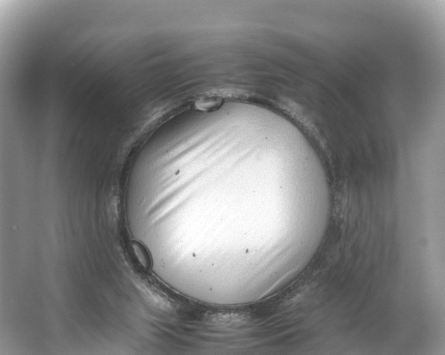 X0000064750063200602241852