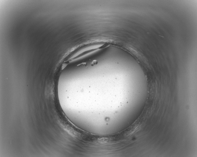 X0000064750064200602241852