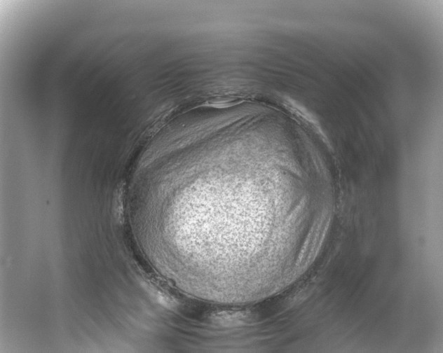 X0000064750065200602241852