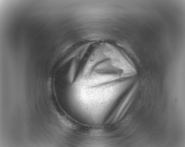 X0000064750066200602241852