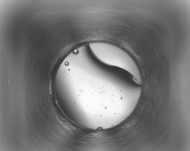 X0000064750068200602241852