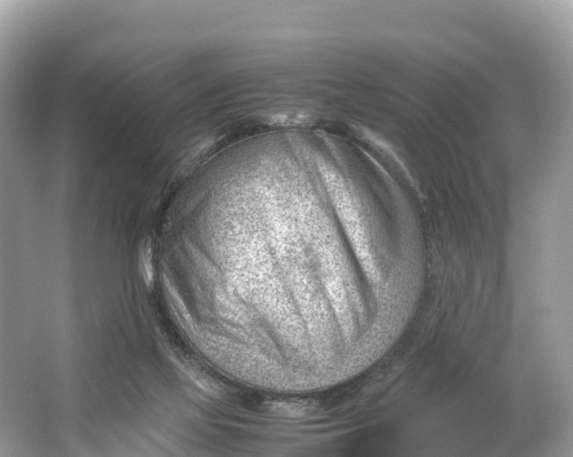 X0000064750069200602241852