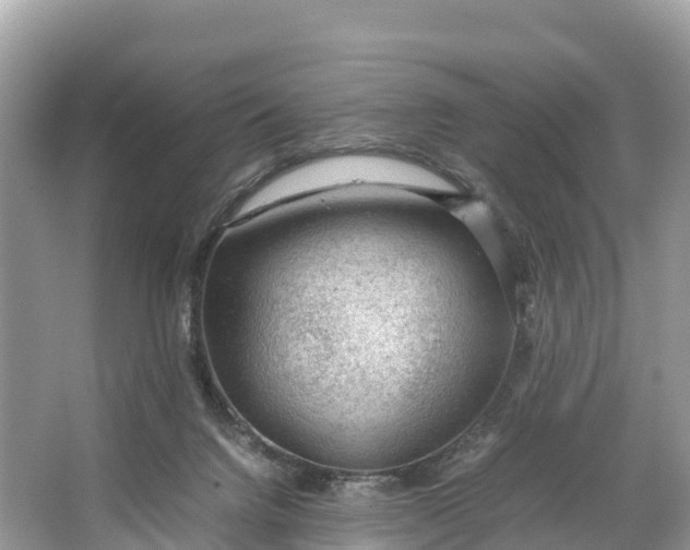 X0000064750072200602241852