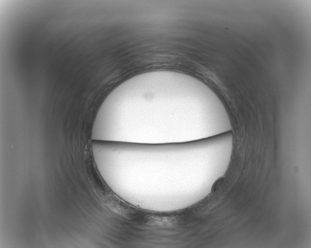 X0000064750073200602241852