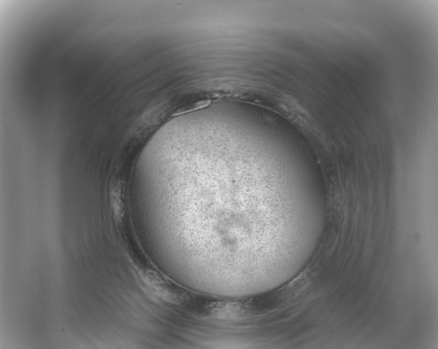 X0000064750074200602241852