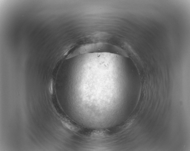 X0000064750076200602241852