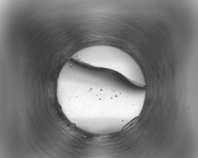 X0000064750078200602241852