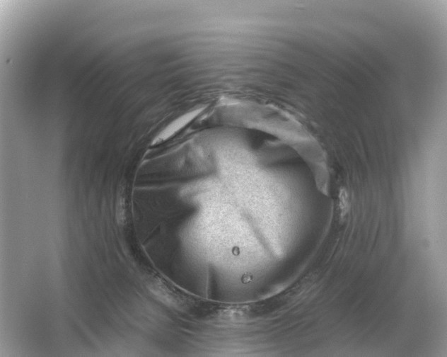 X0000064750080200602241852