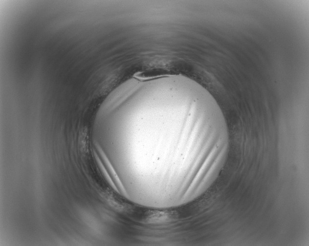 X0000064750083200602241852