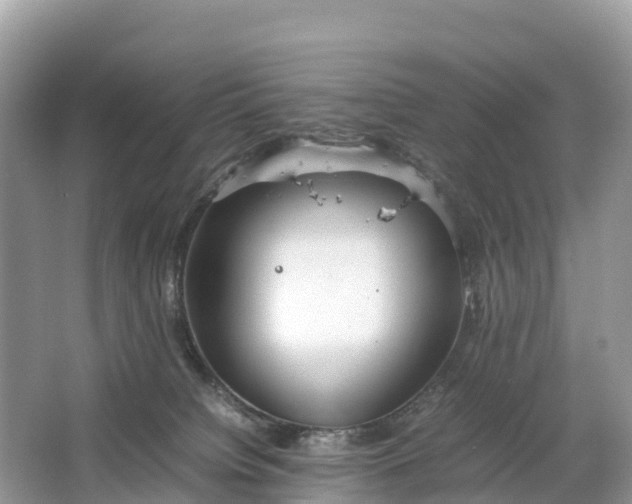 X0000064750084200602241852