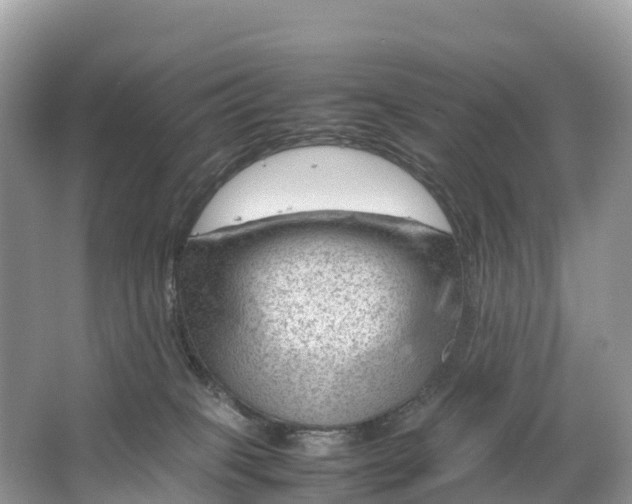 X0000064750085200602241852