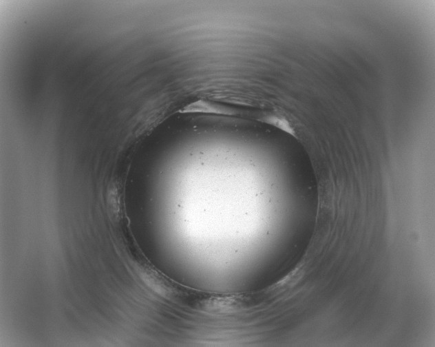 X0000064750086200602241852