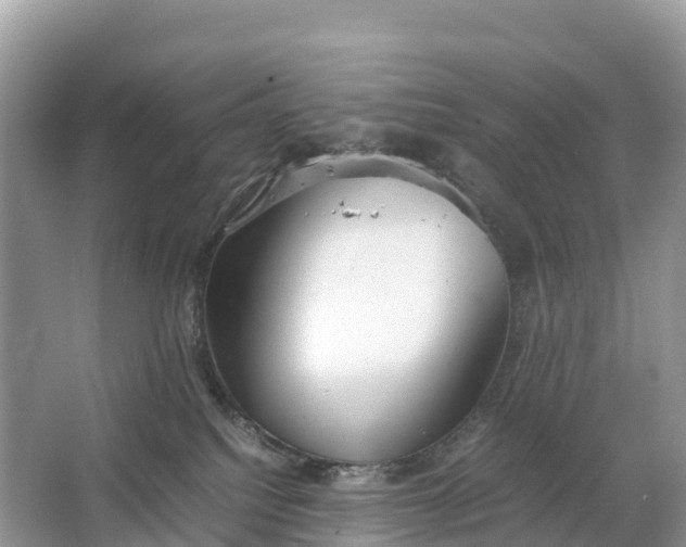 X0000064750088200602241853