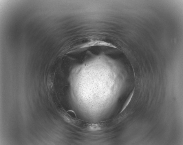 X0000064750091200602241853