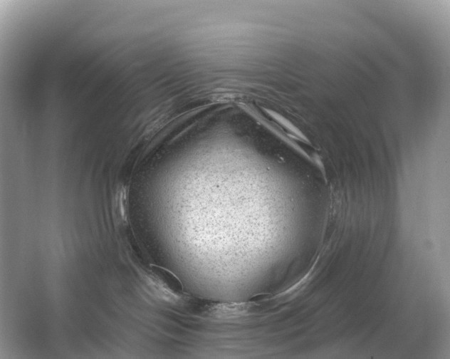 X0000064750094200602241853