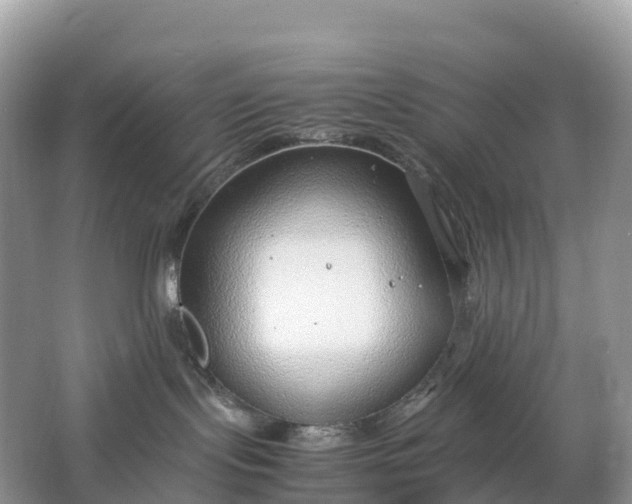 X0000064750095200602241853