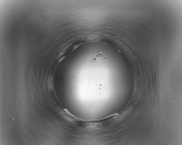 X0000064750096200602241853