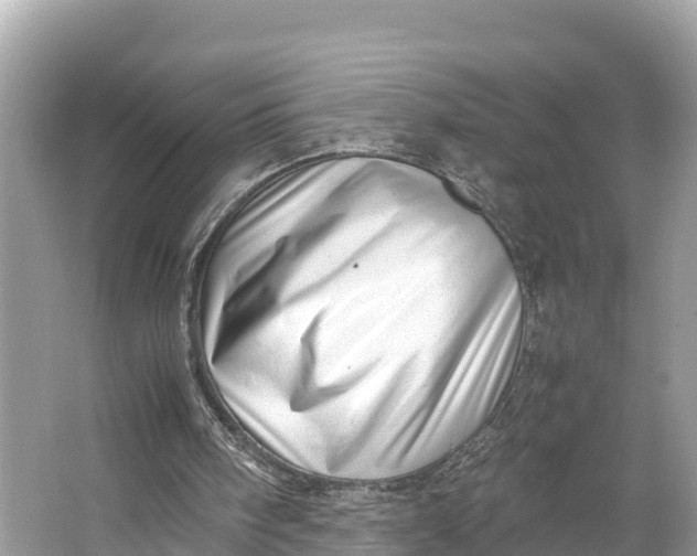 X0000064750098200602241851