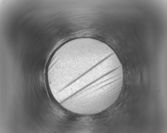 X0000064750100200602241851