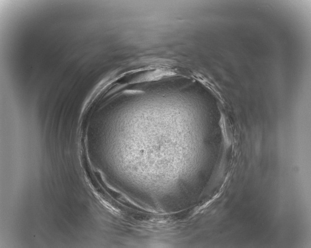 X0000064750101200602241851