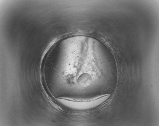 X0000064750102200602241851